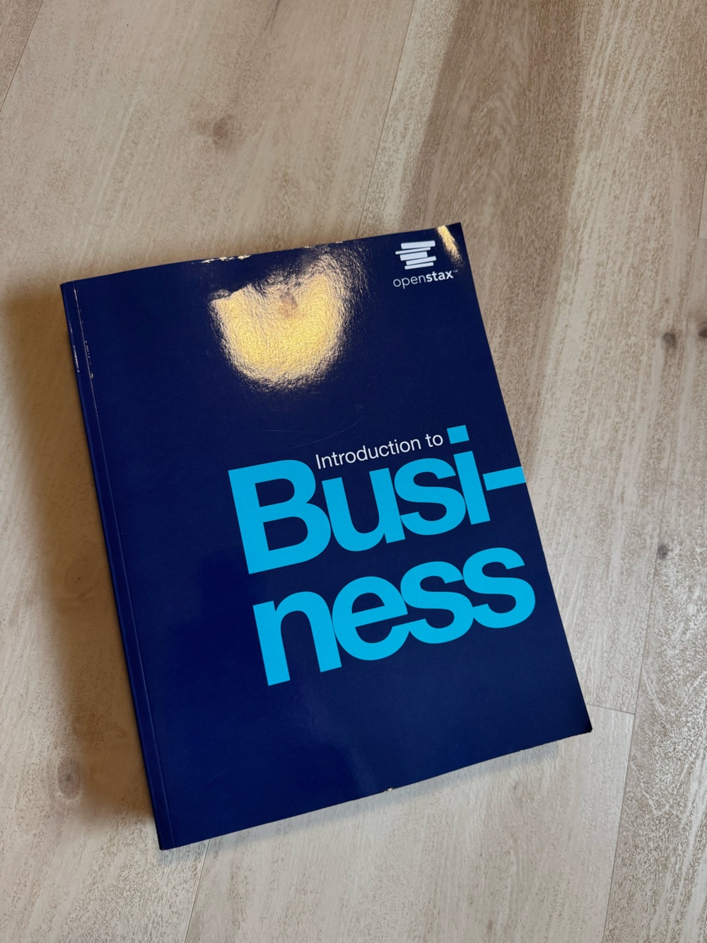 OpenStax 'Introduction to Business' Textbook - Blue